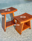 ALEENA TEAK WOOD STOOL